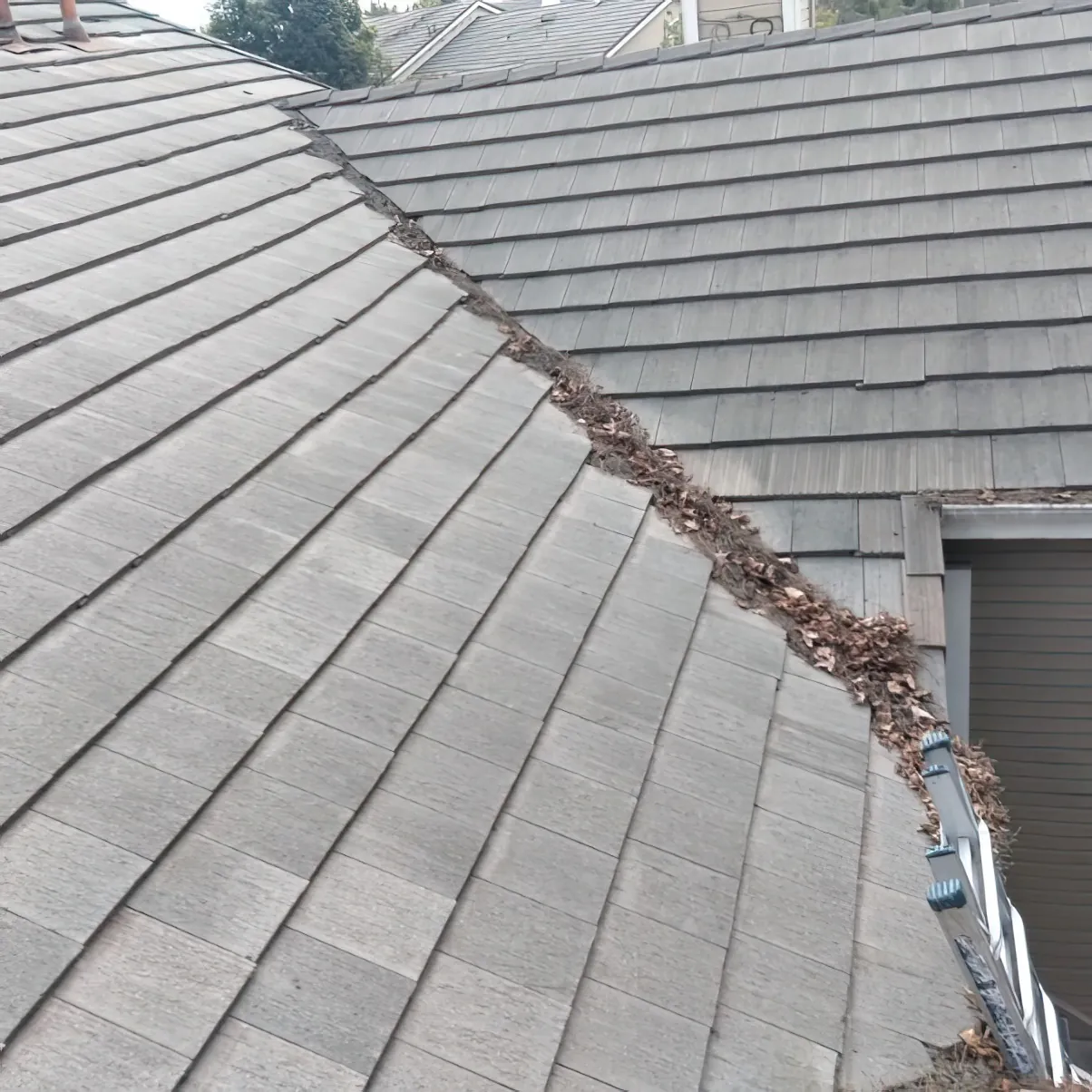 Tile Roof Restoration — Cleaning and Repair Project — photo 1 of 6