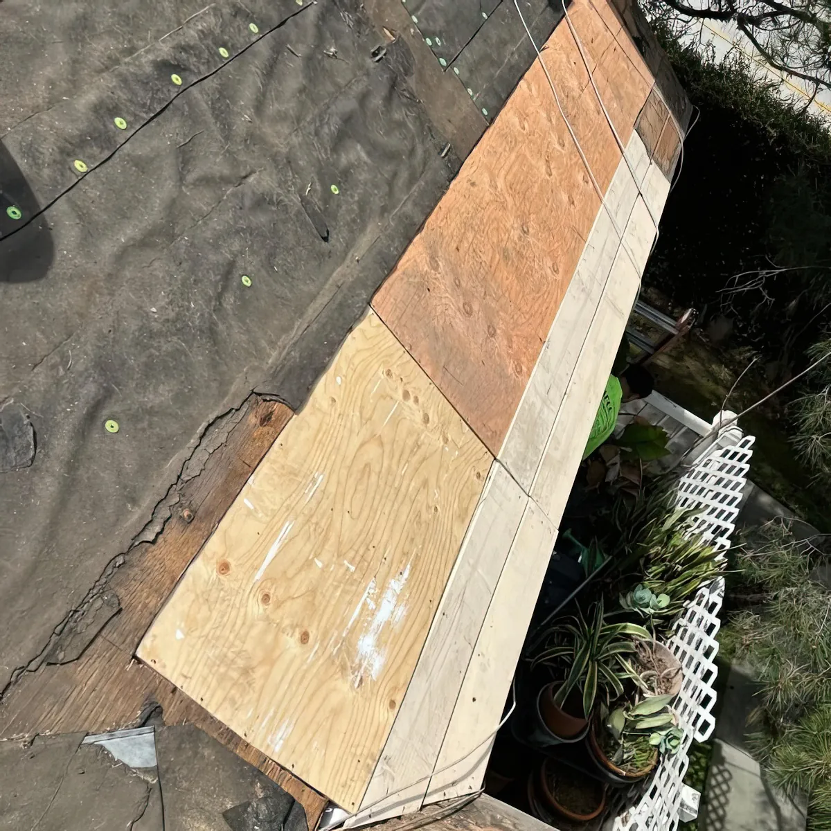 Tile Roof Restoration — Cleaning and Repair Project — photo 4 of 6