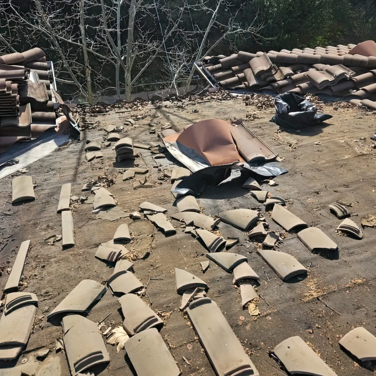 Tile Roof Reset — photo 2 of 9