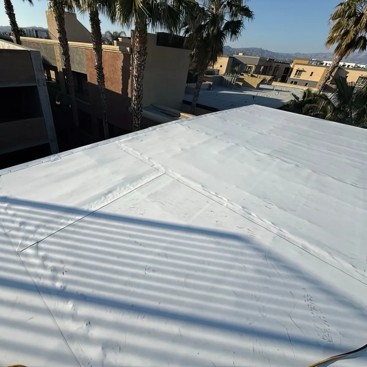 Torch Down to TPO Conversion — Flat Roof Upgrade — photo 4 of 7