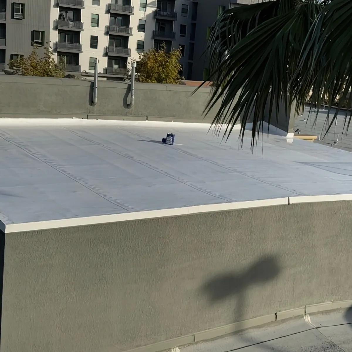 Torch Down to TPO Conversion — Flat Roof Upgrade — photo 7 of 7