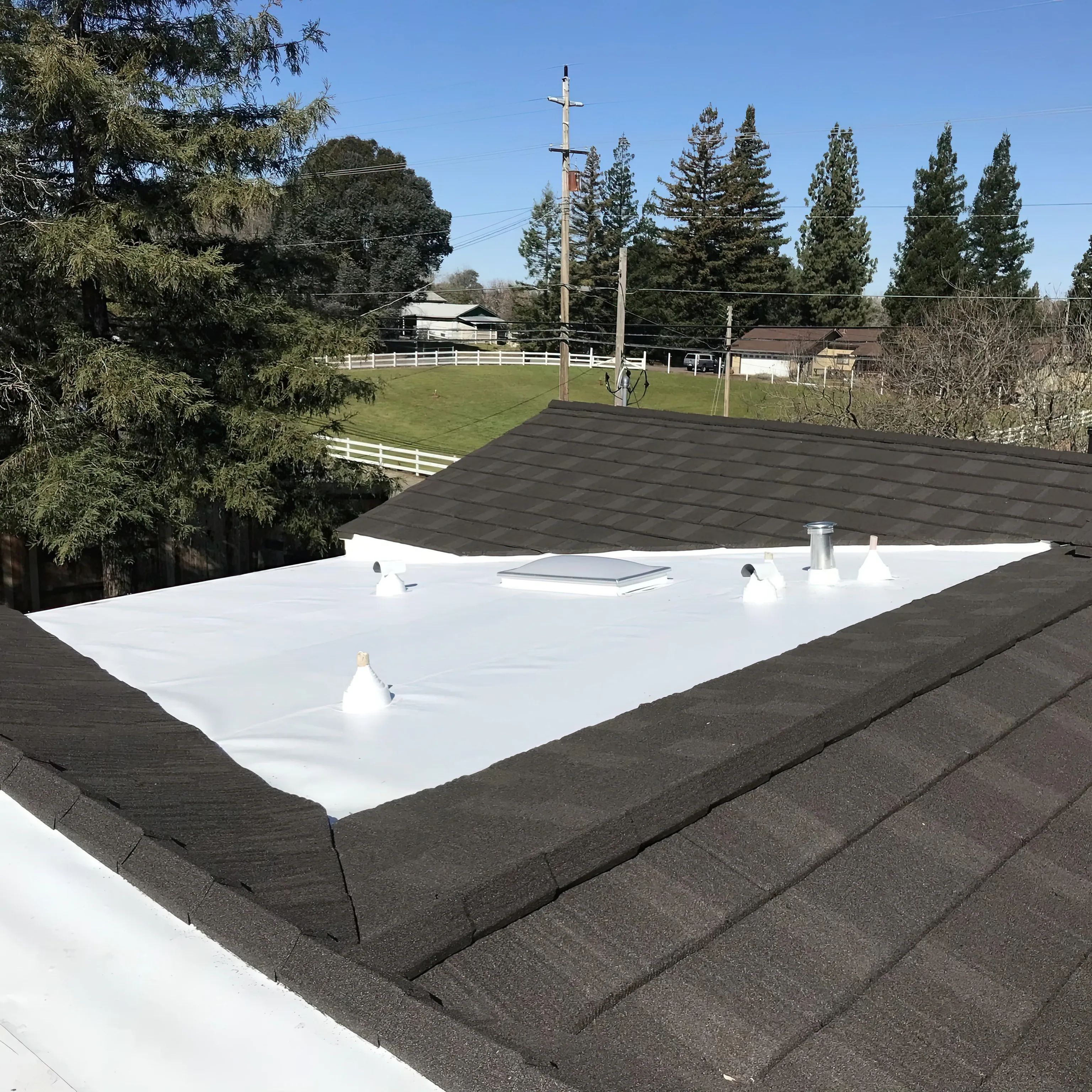Why TPO Is the Best Choice for Flat Roofs — photo 2 of 4