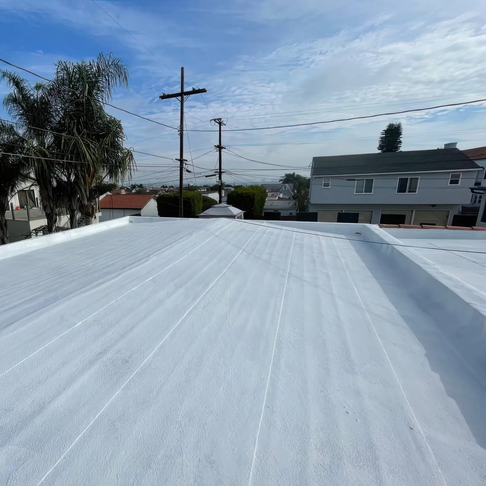 Flat Roof Silicone Coating — No Tear-Off Solution — photo 3 of 8