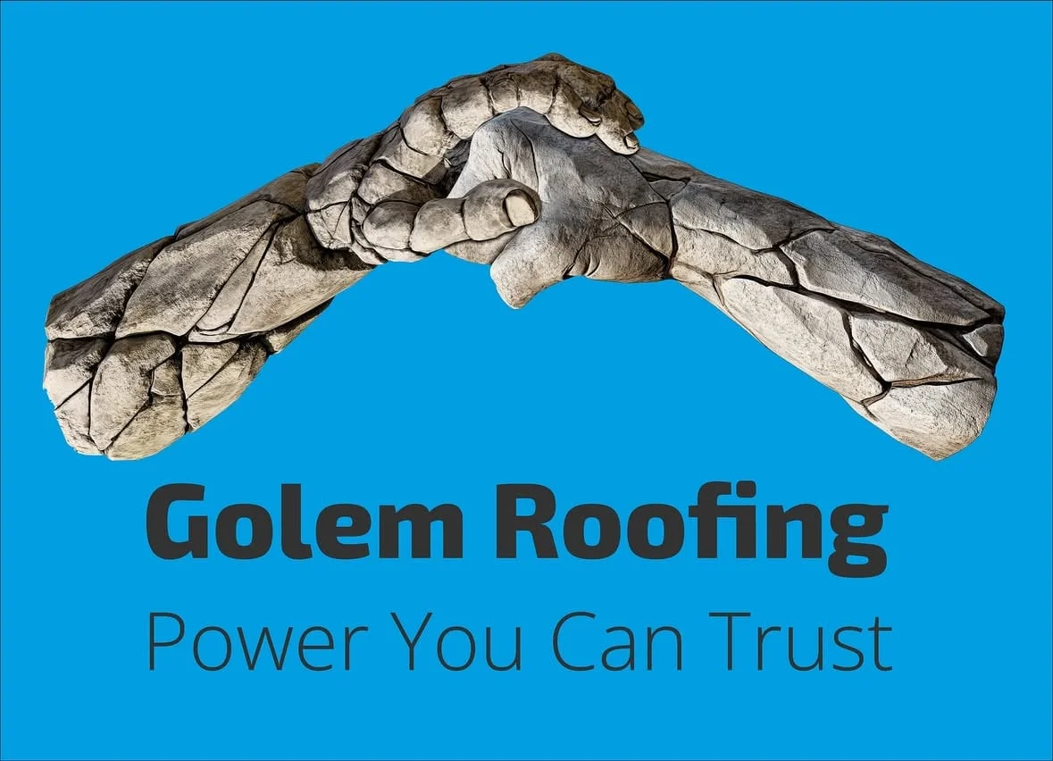 Emergency Roof Leak Repair — Fast and Professional — photo 1 of 2